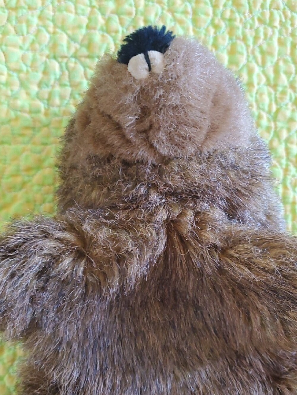 German Vintage Plush Beaver Hand Puppet - Brown - Picture 7 of 8